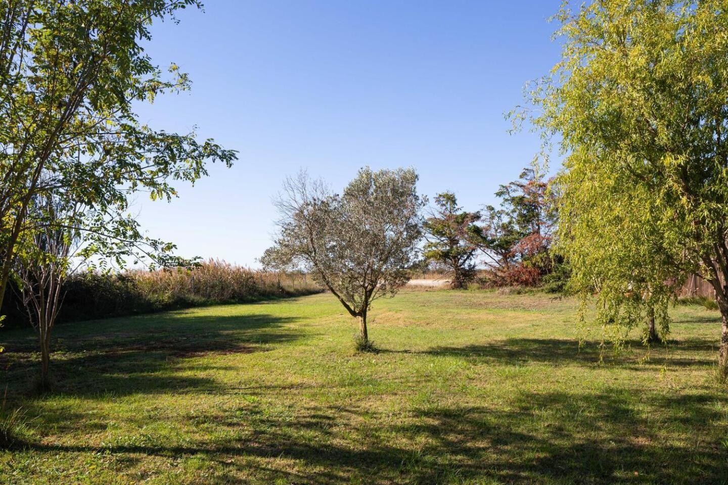 Mas Provencal De 120M2 En Camargue, Avec Piscine Et Parking Inclus, Ideal Pour Des Vacances アルル エクステリア 写真